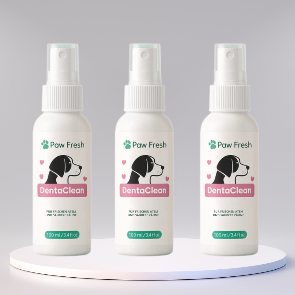 DentaClean™